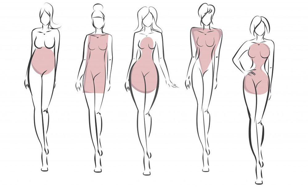 body shape